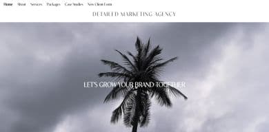 Detailed Marketing Website Case Study Image