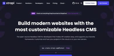 Strapi Http Toolkit Case Study Image